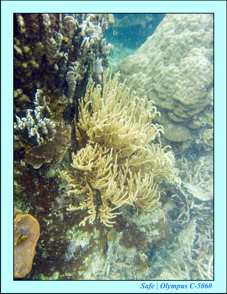 2008 - 07 - Perhentian - 029
